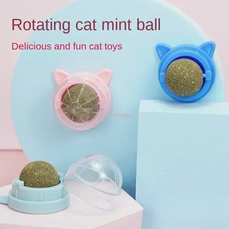 Brinquedo para Gatos Bola de Catnip