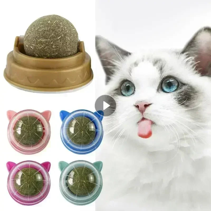 Brinquedo para Gatos Bola de Catnip